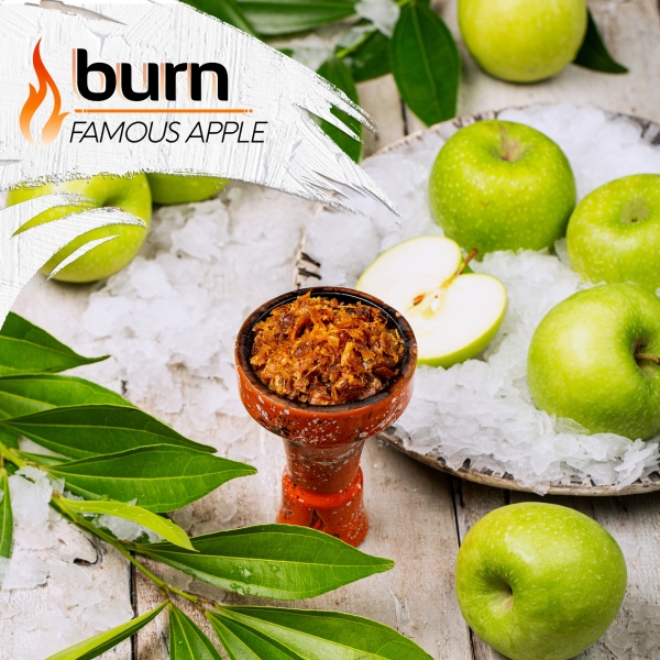 Купить Burn - Famous Apple (Зеленое Яблоко с Холодком) 200г