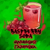 Купить B3 - Raspberry Soda (Малиновая Газировка) 50г