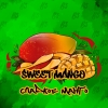 Купить B3 - Sweet Mango (Манго) 50г