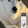 Купить City Zoo - Белый Медведь (Ледяная Кола), 700 затяжек, 18 мг (1,8%)