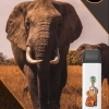 Купить City Zoo - Слон (Ледяной Ананас), 700 затяжек, 18 мг (1,8%)