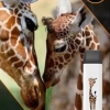 Купить City Zoo - Жираф (Персик), 700 затяжек, 18 мг (1,8%)